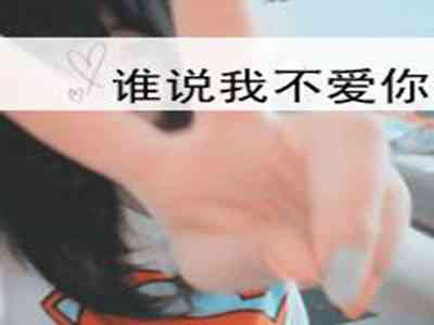 中国黄页网站大全免:全国企业商家免费收录平台，海量黄页信息一键查询，免费发布企业信息助力推广